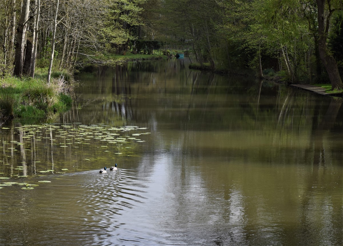 Espace naturel sensible Le marais du Moulin de la Porte