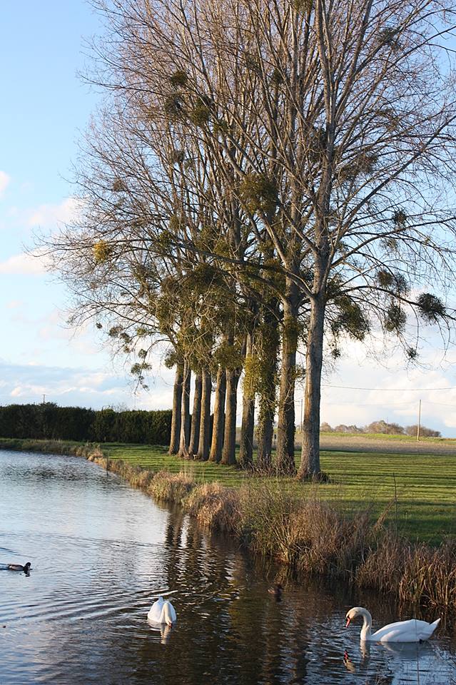 Etang communal d'Adon