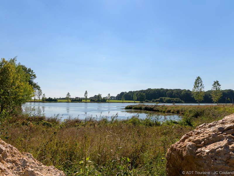 Etang de l'Archevêque, Villedômer - photo 2