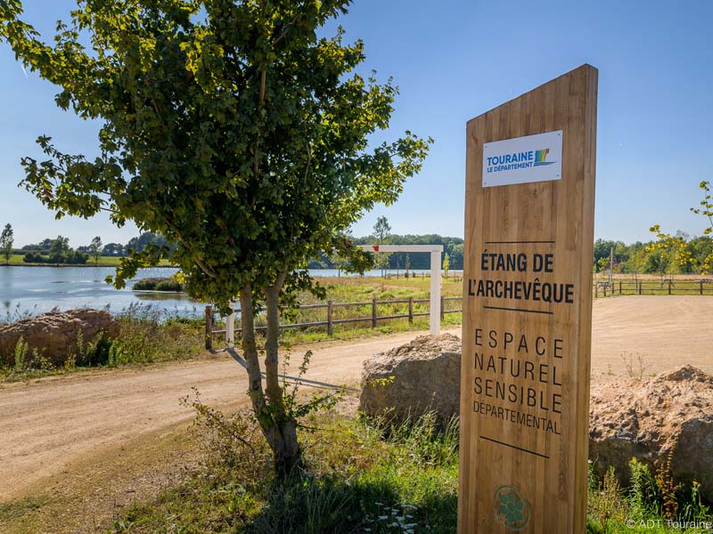 Etang de l'Archevêque, Villedômer - photo 4