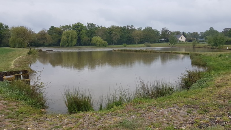 Etang du Champ de Foire