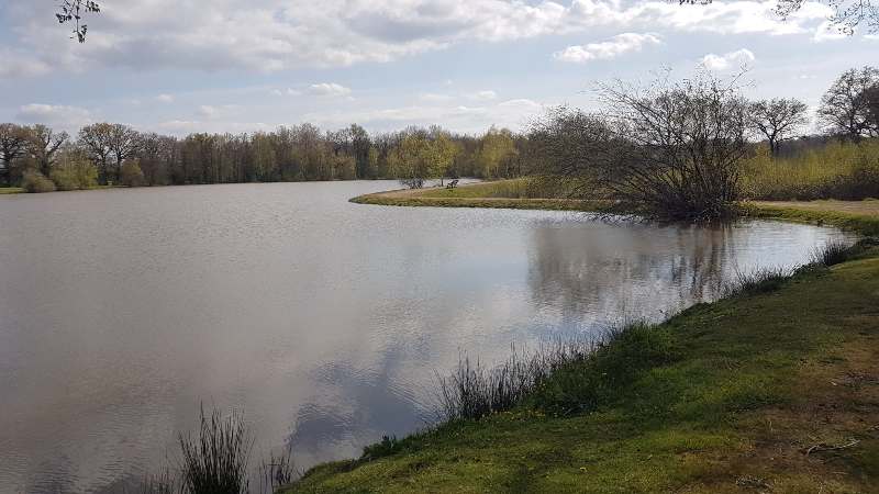 Pêche au plan d'eau communal de la Châtre l'Anglin