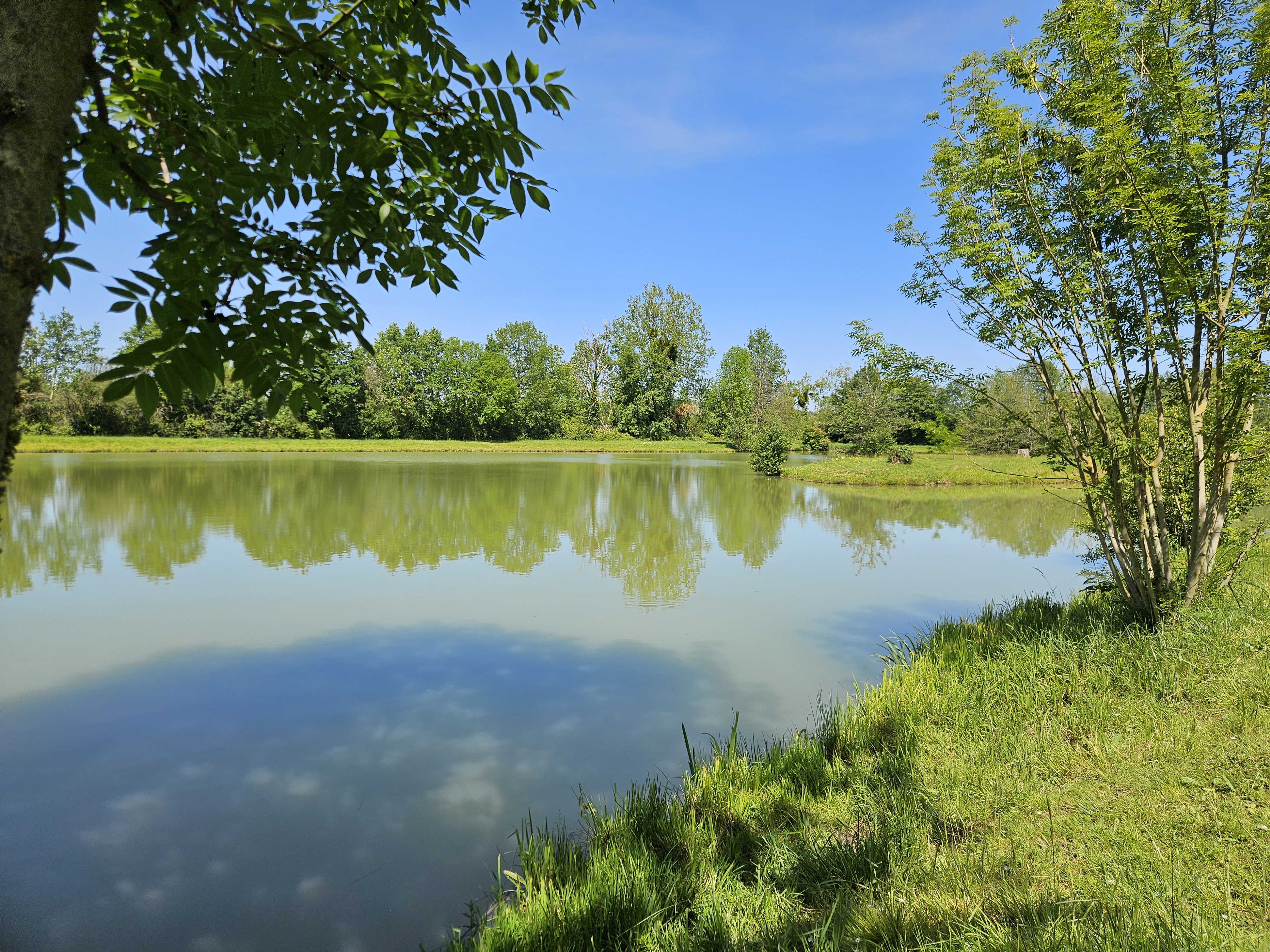 Sites de pêche autour de Brou, Brou - photo 8