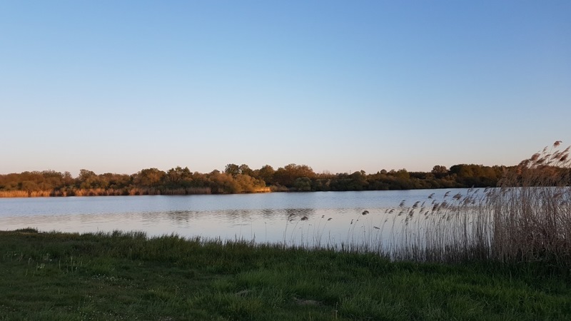 Etang de la Rochechevreux — photo 3
