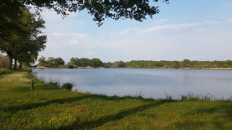 Etang de la Rochechevreux