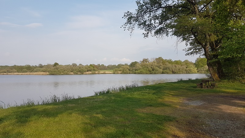 Etang de la Rochechevreux