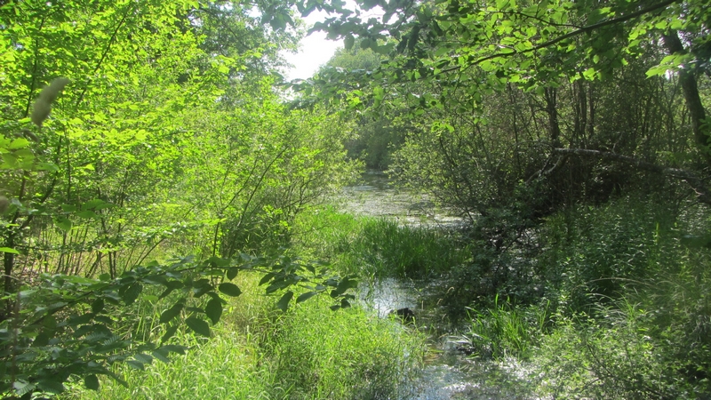 Des Petits Pas vers Soi, Seichebrières - photo 7