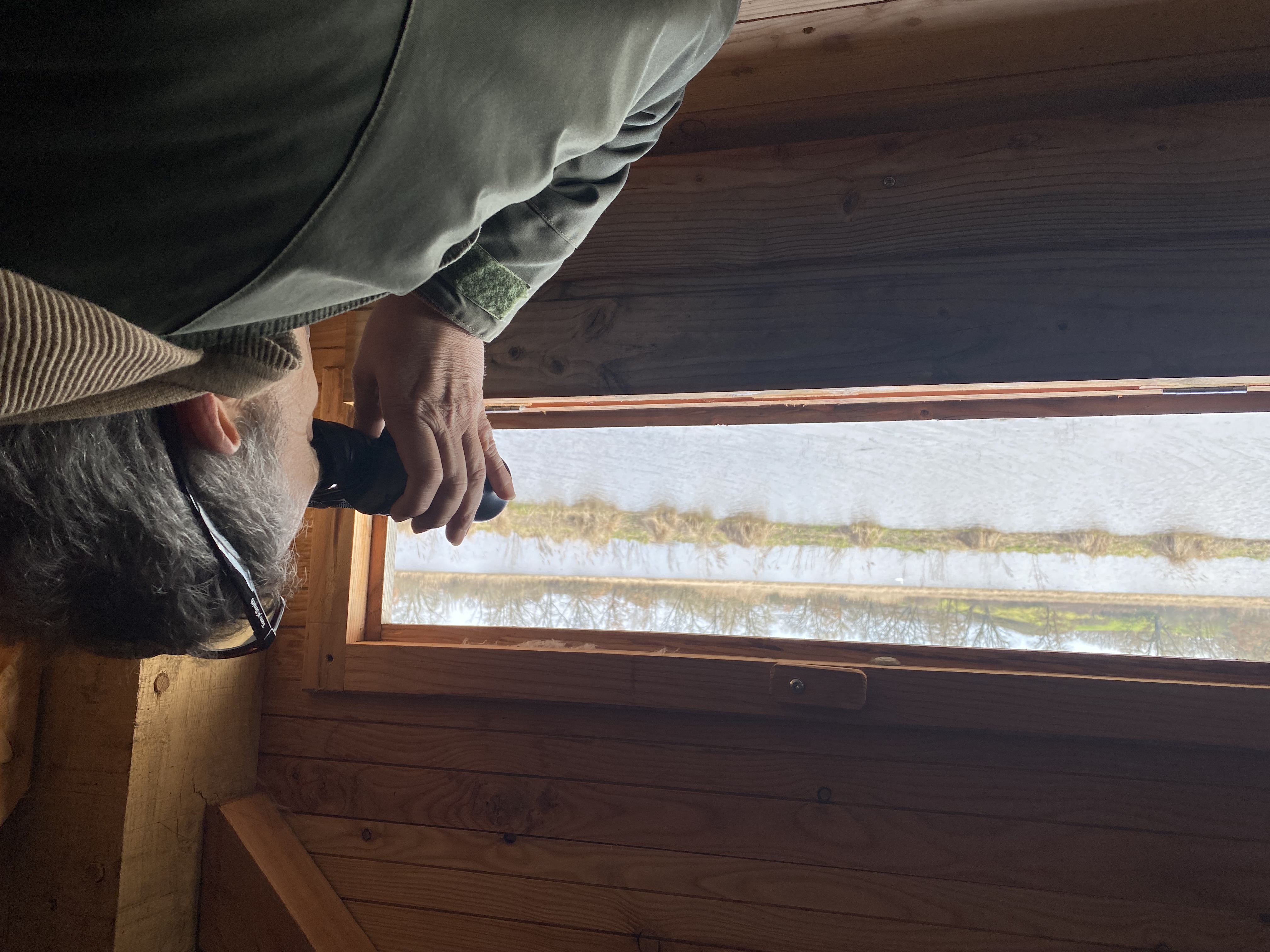 Observatoires privatif du site de l'étang de Bellebouche