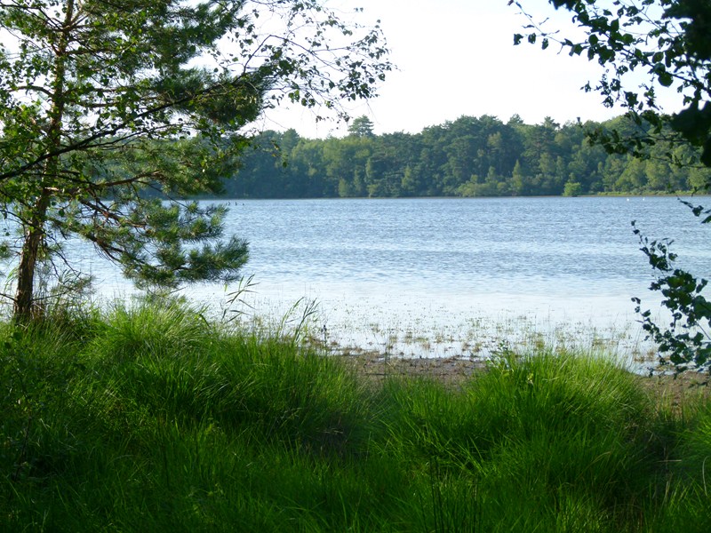 Etang des Lévrys — photo 2
