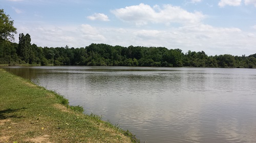 Etang des Sceps  France Centre-Val de Loire Cher Genouilly 18310