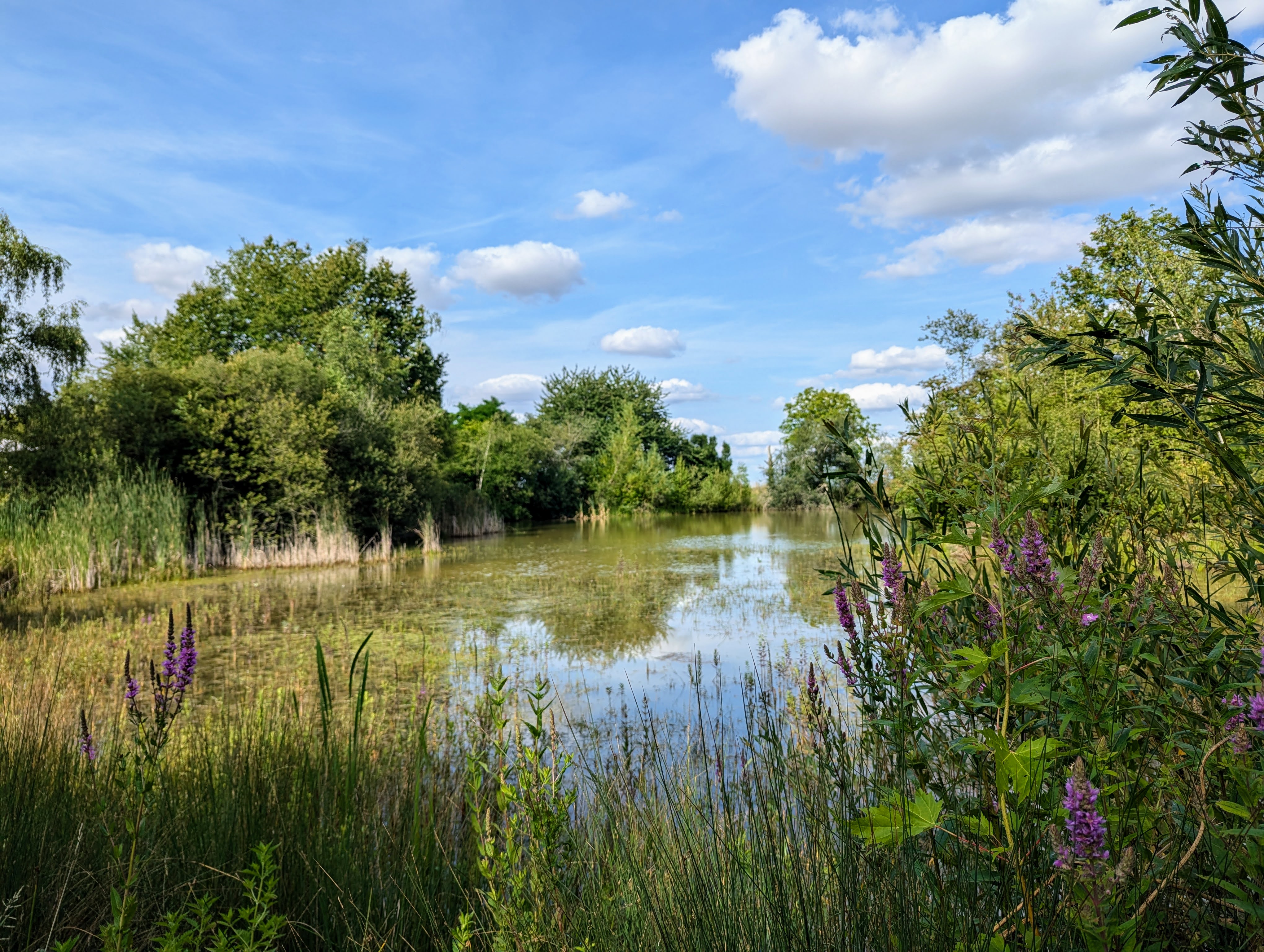 Ecoute la vie - Parc résidentiel de Loisirs, Lunay - photo 3