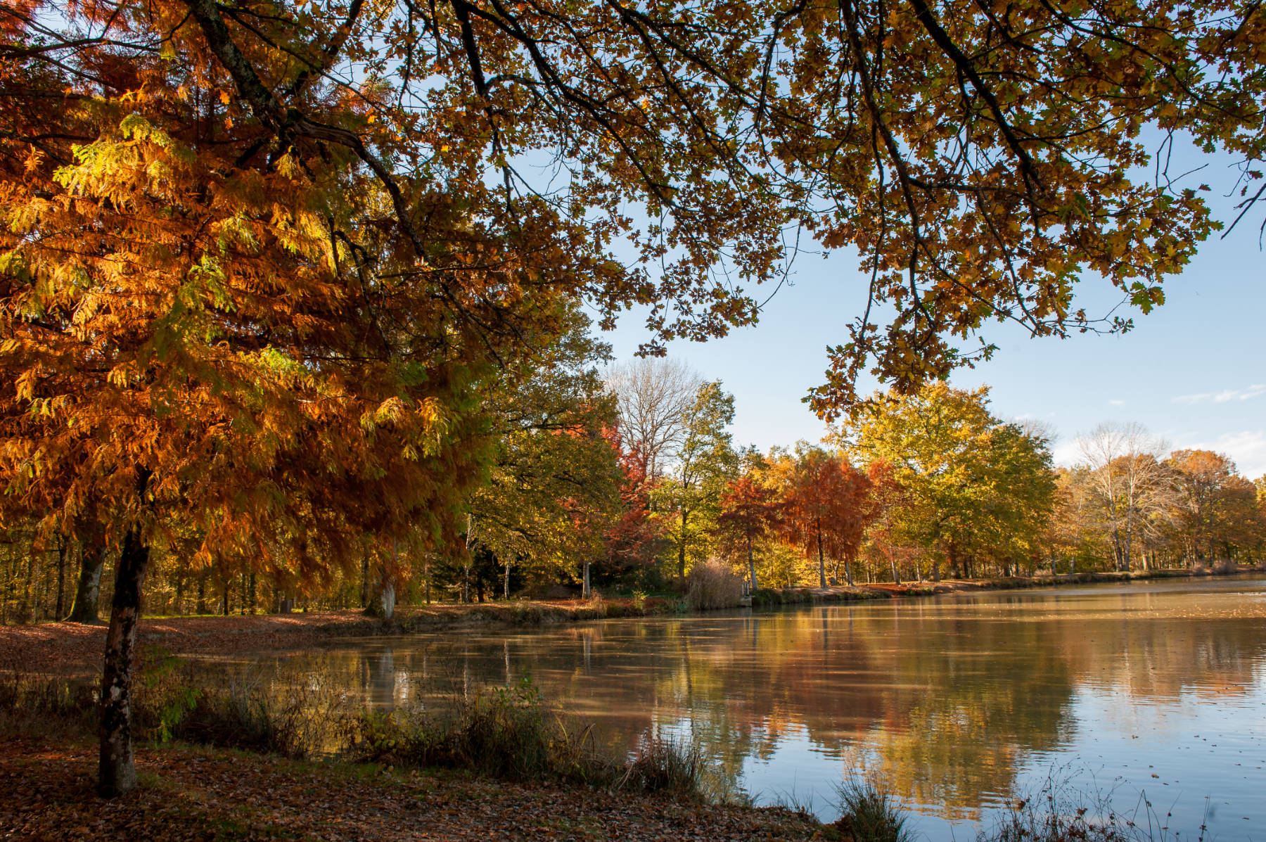 Aire de l'étang des Aisses - photo 4