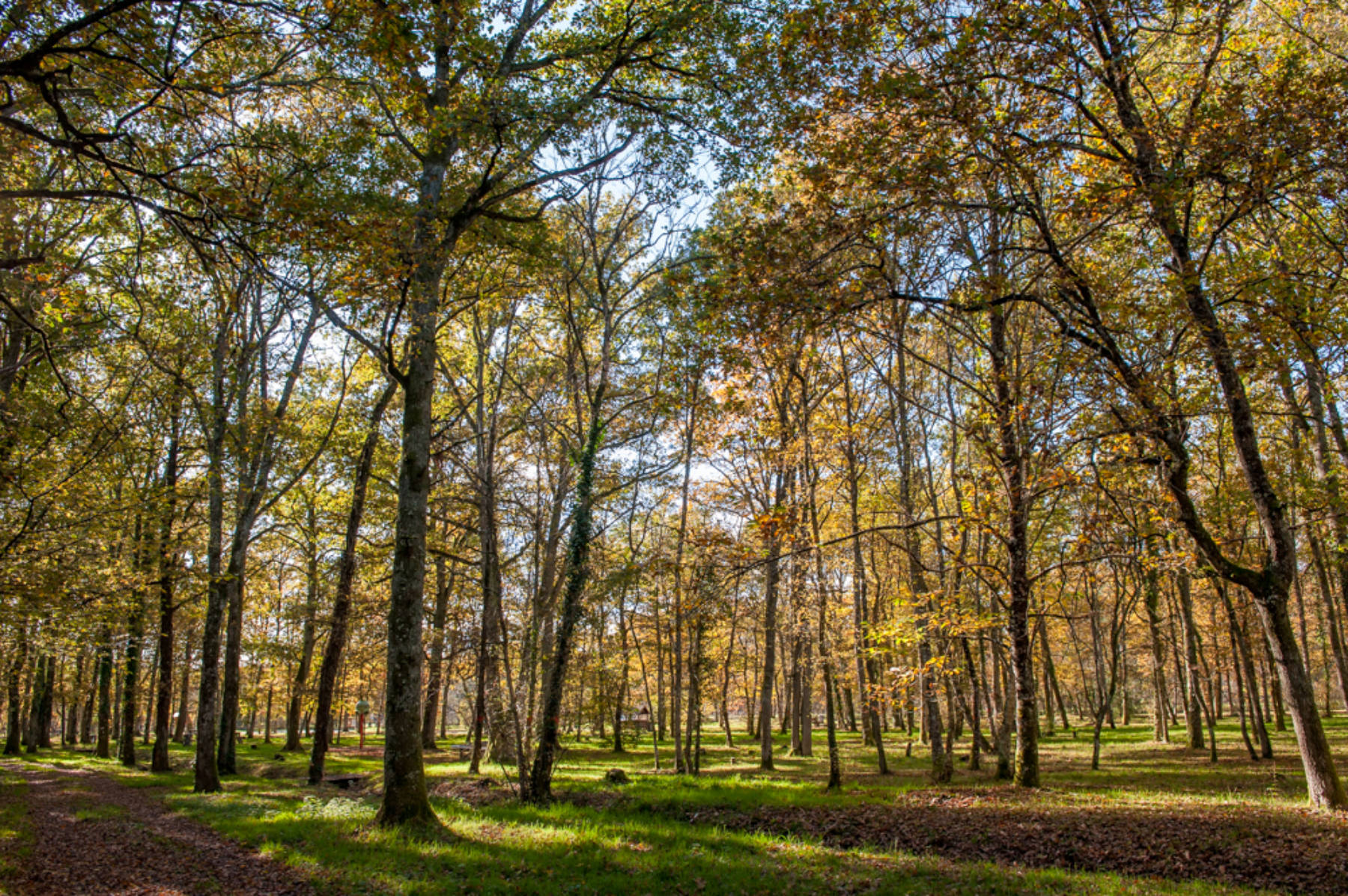 Aire de l'étang des Aisses - photo 5