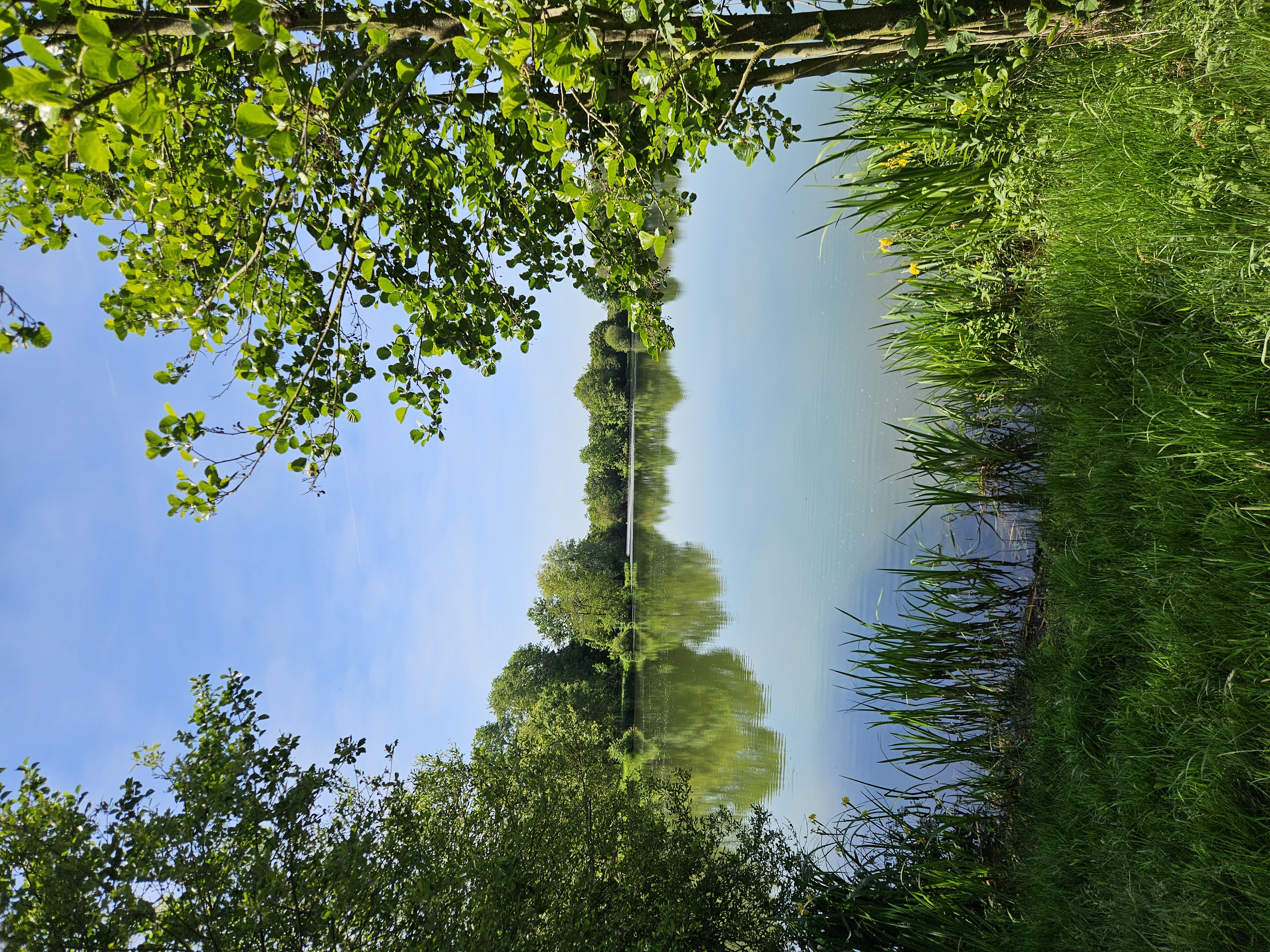 Plan d'eau Michel Hamet - Site de pêche labellisé Parcours famille, Brou - photo 6
