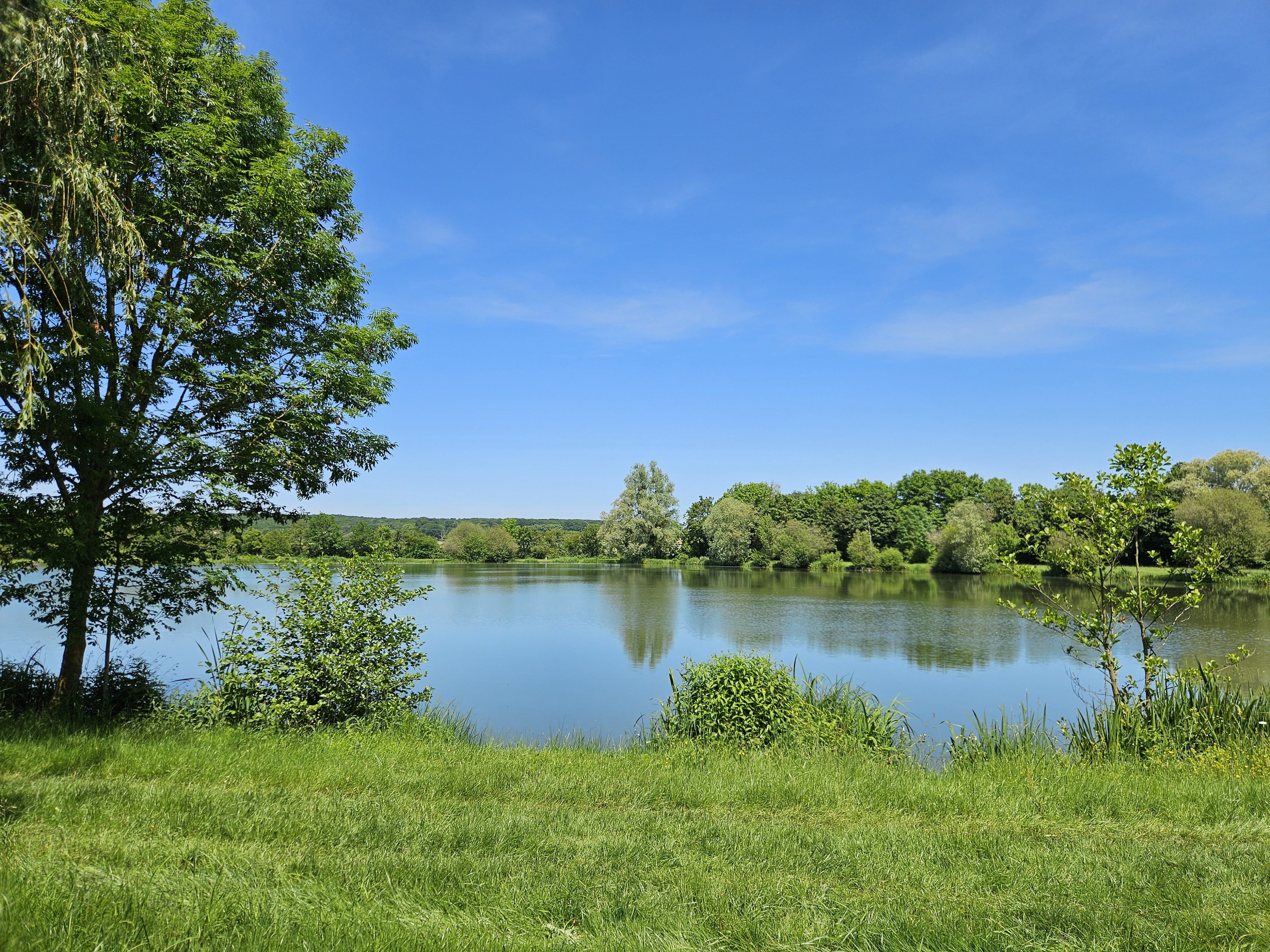 Sites de pêche autour de Brou, Brou - photo 9