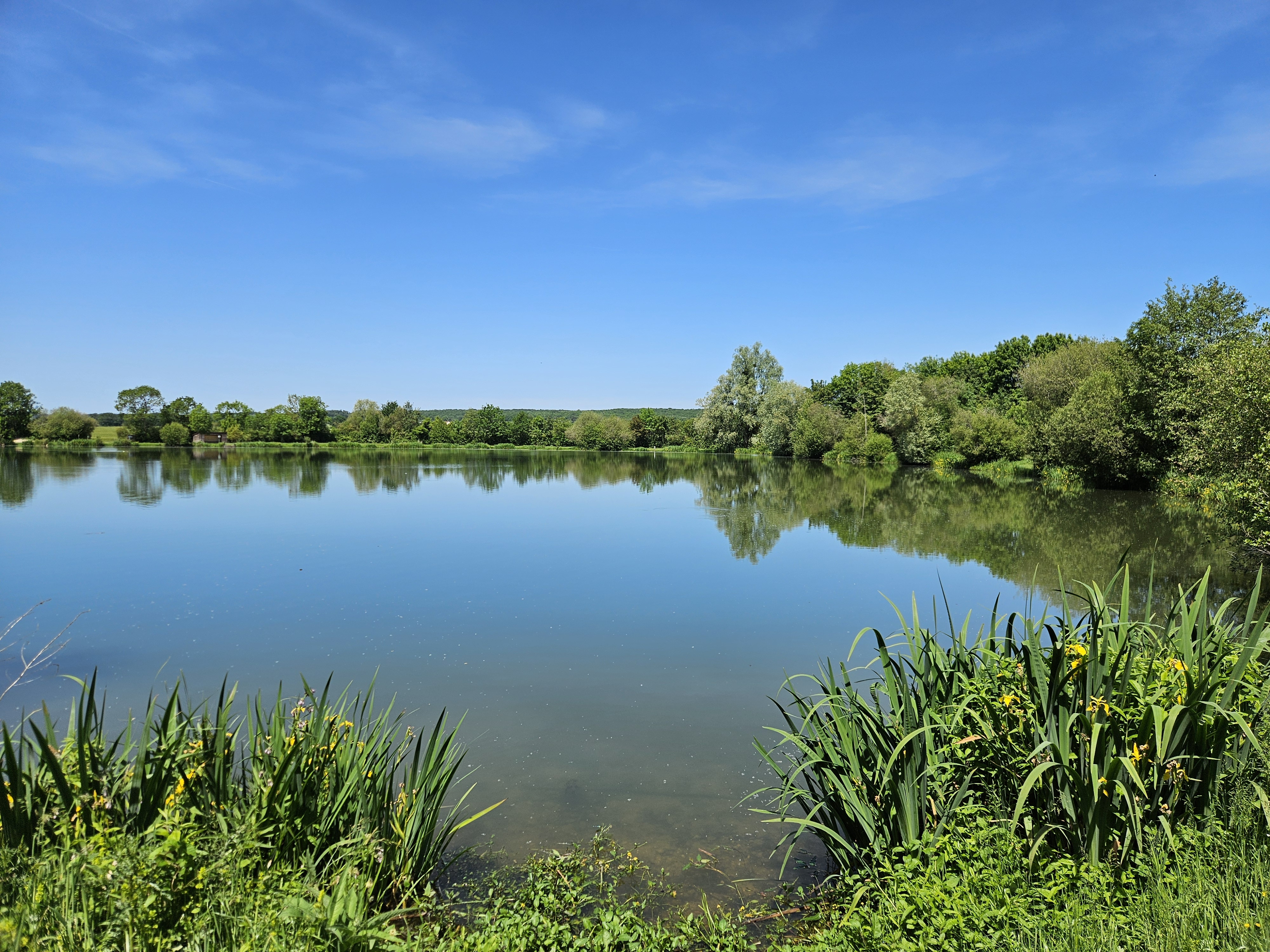 Plan d'eau Michel Hamet - Site de pêche labellisé Parcours famille, Brou - photo 2