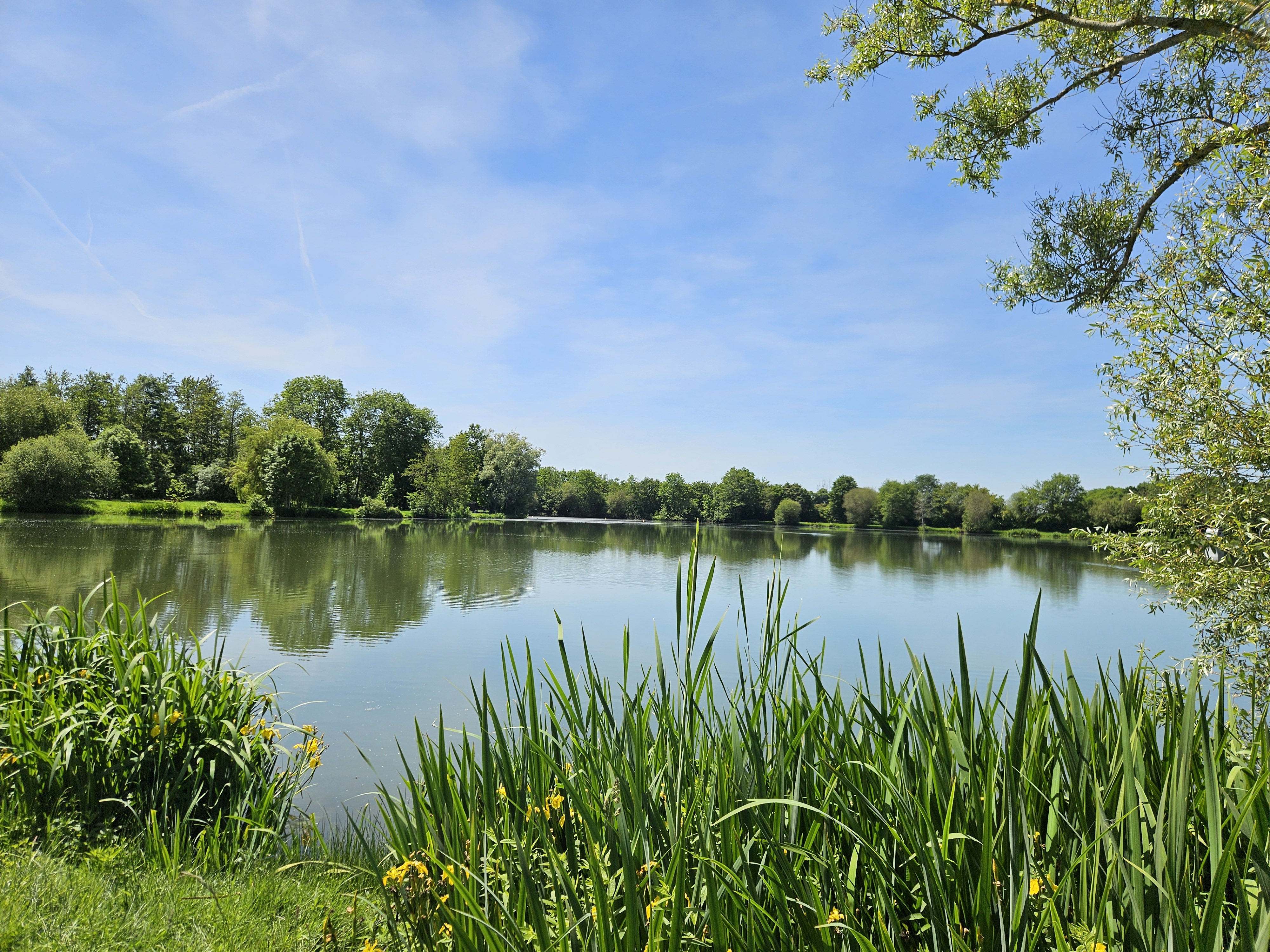 Sites de pêche autour de Brou, Brou - photo 7