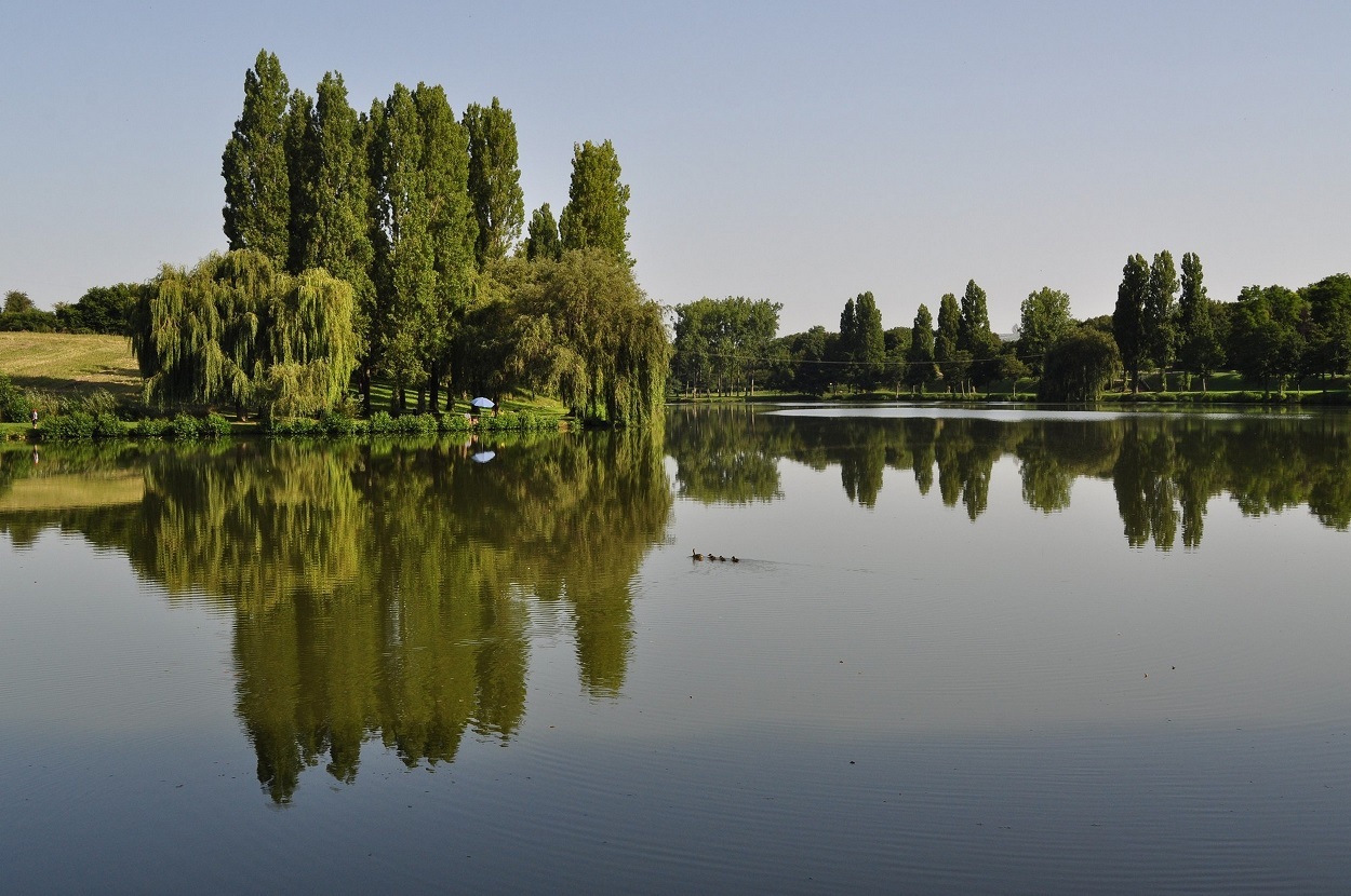 Aire de Pique-Nique - Étang de la Salle