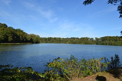Domaine de Boisvinet - Location de salle — photo 3