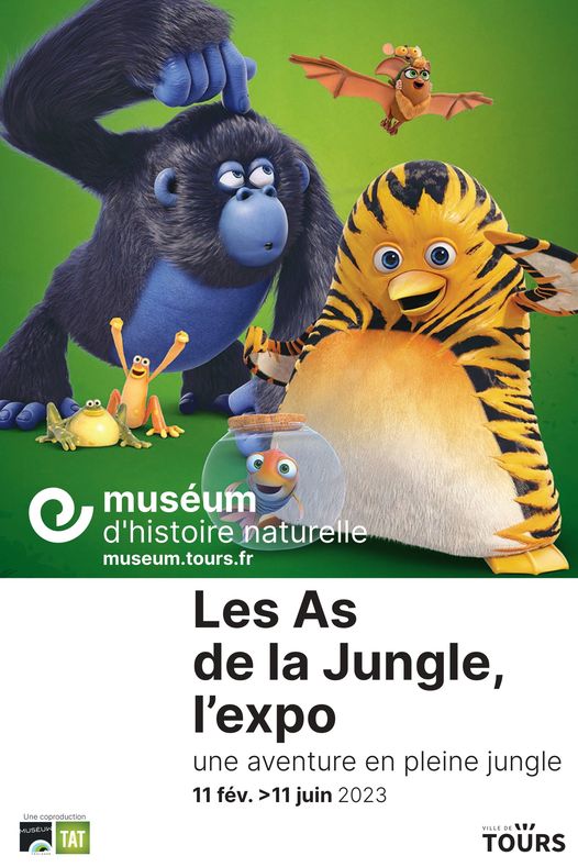 Les As de la Jungle, l’expo©