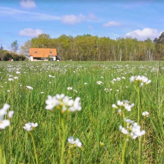 Gîte le Pti' Fernin, Saint-Viâtre