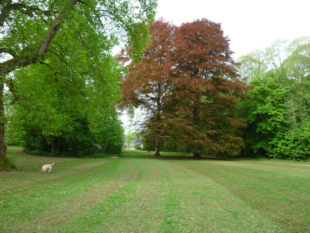 Prieuré de Bouche d'Aigre, Cloyes-les-Trois-Rivières