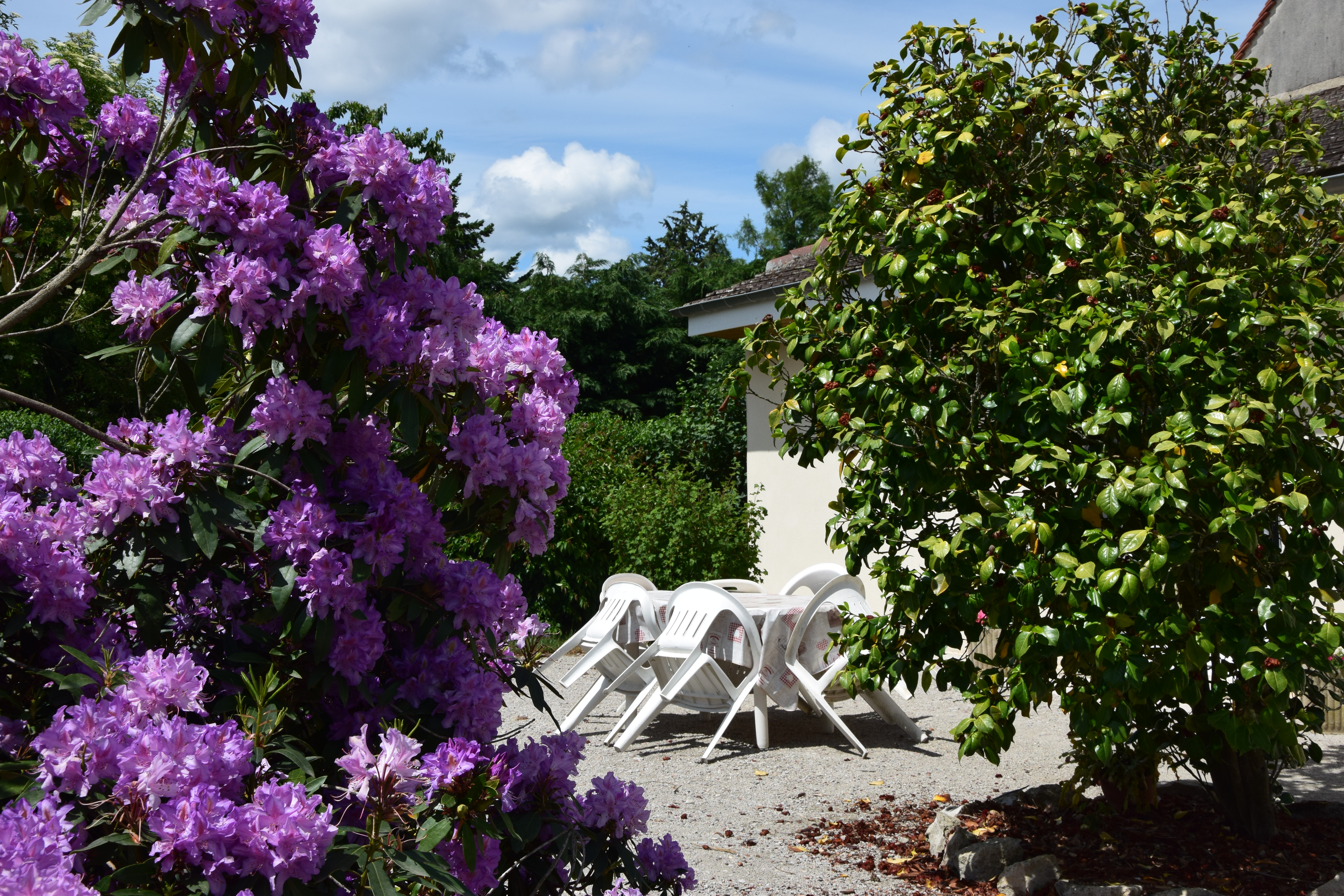 Gîte des Boutrons, Saint-Benoît-sur-Loire - photo 2