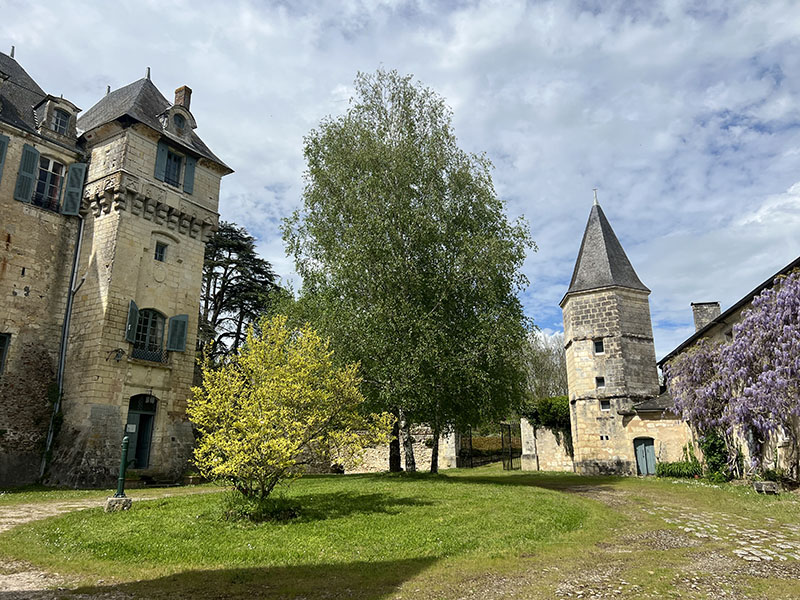 La petite chouette — photo 3