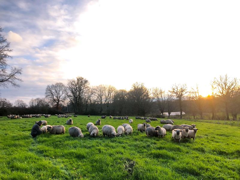 La Ferme du Beau, Chaillac - photo 4