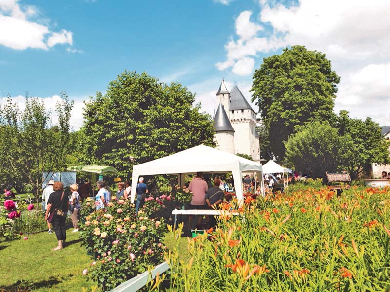 Fête des Roses, Lémeré - photo 6
