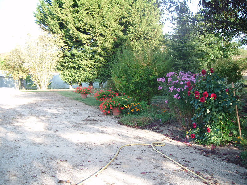 Gîte du moulin rideau, Gy-en-Sologne - photo 4