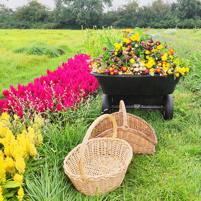 Ferme Florale Ponoie