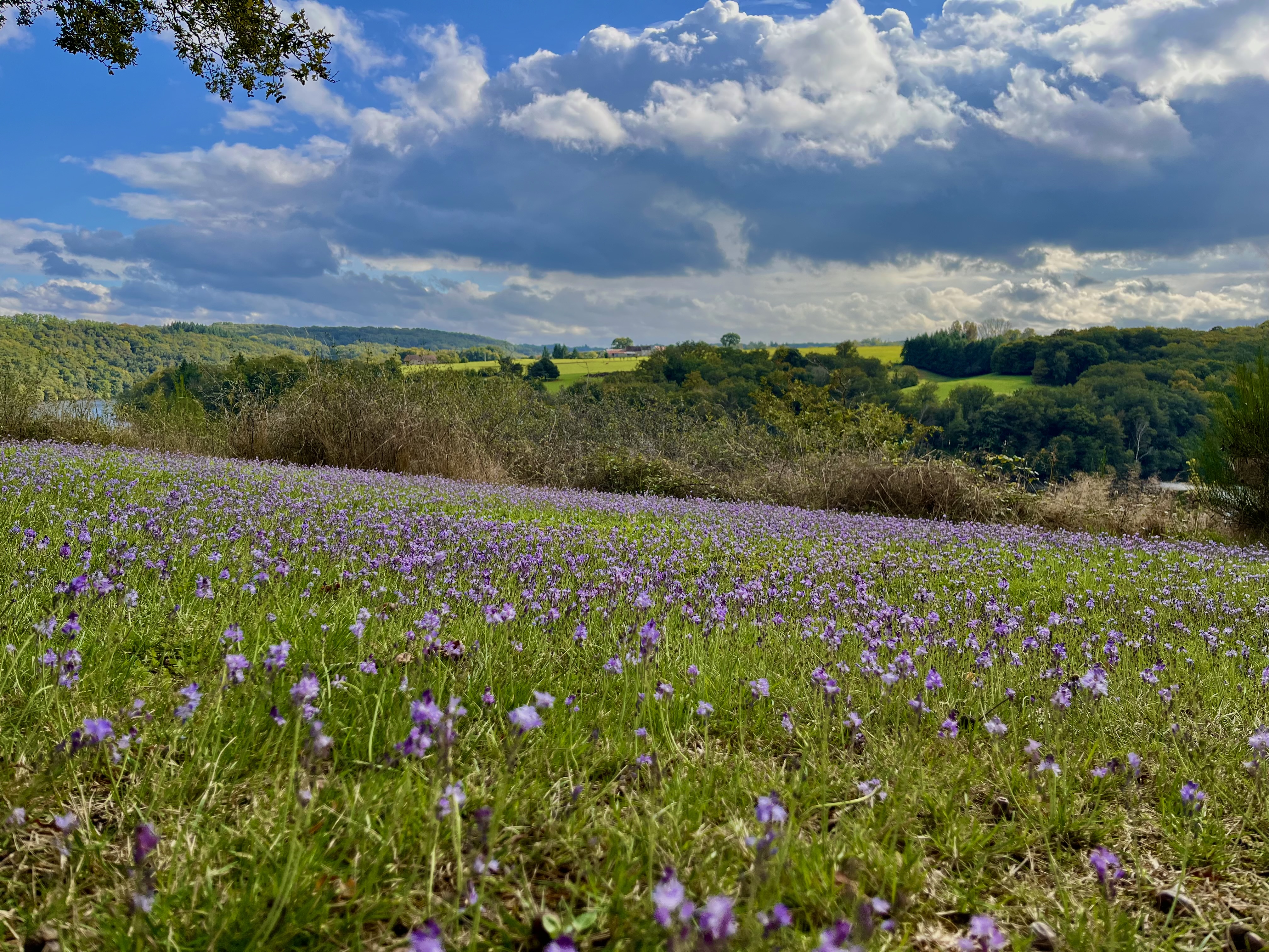 Camping municipal de Fougères, Saint-Plantaire - photo 4