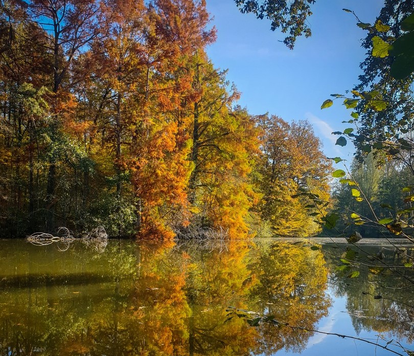 Domaine de Flotin, maison de la biodiversité, Nibelle - photo 3