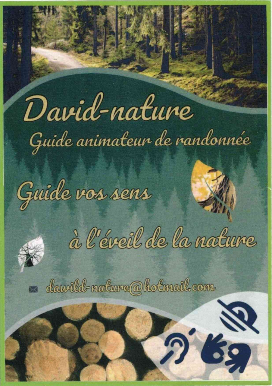 David-nature