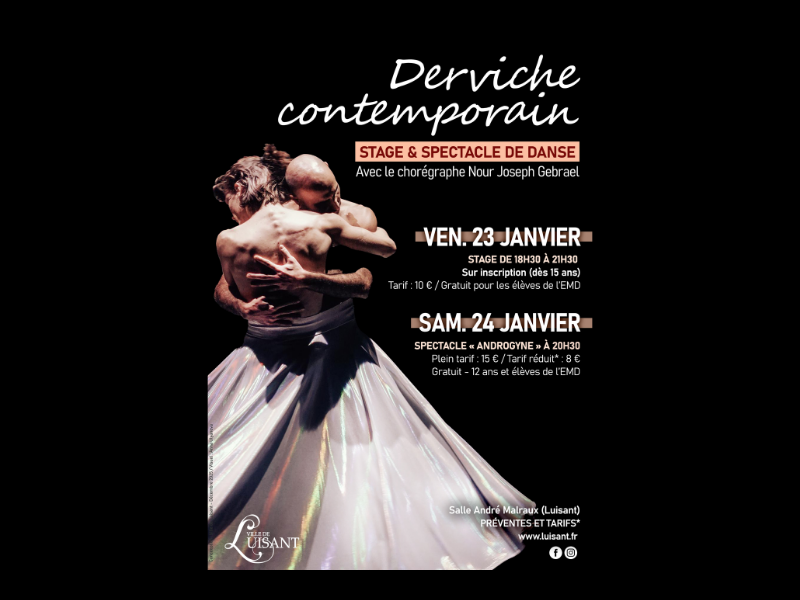 Spectacle de danse : "Androgyne"