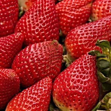 fraises