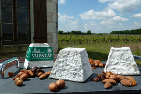 André Plaza - photo 2