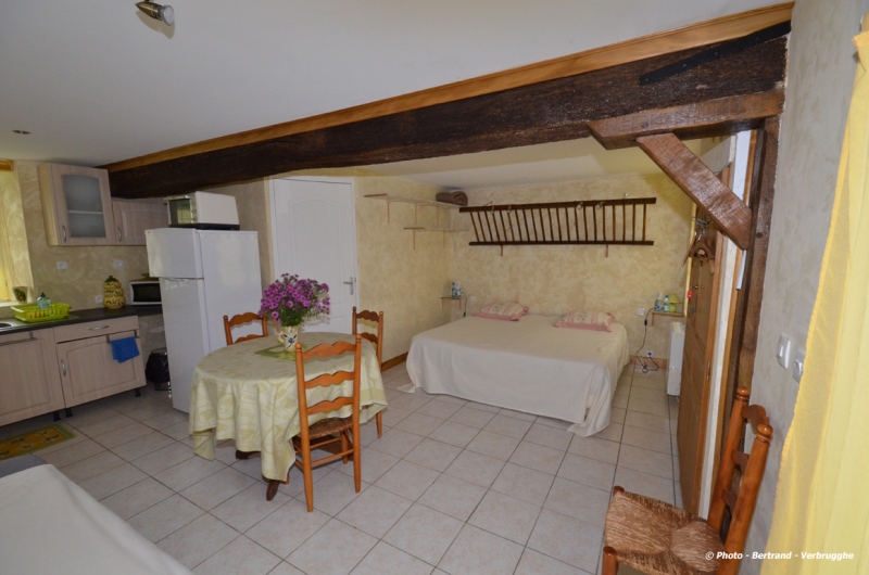 Gîte en Berry, Moulins-sur-Céphons - photo 6