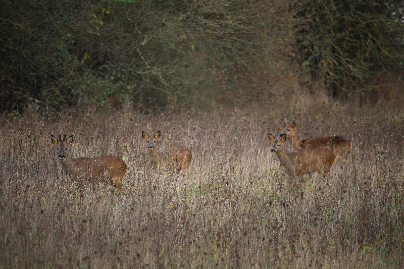 Gîte du clos des vignes, Couffy - photo 2