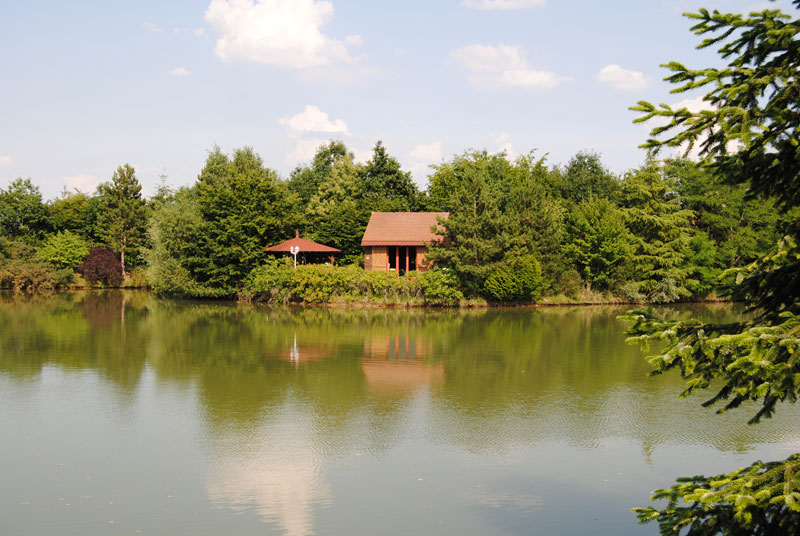 Les grandes fougères, Rahart - photo 2