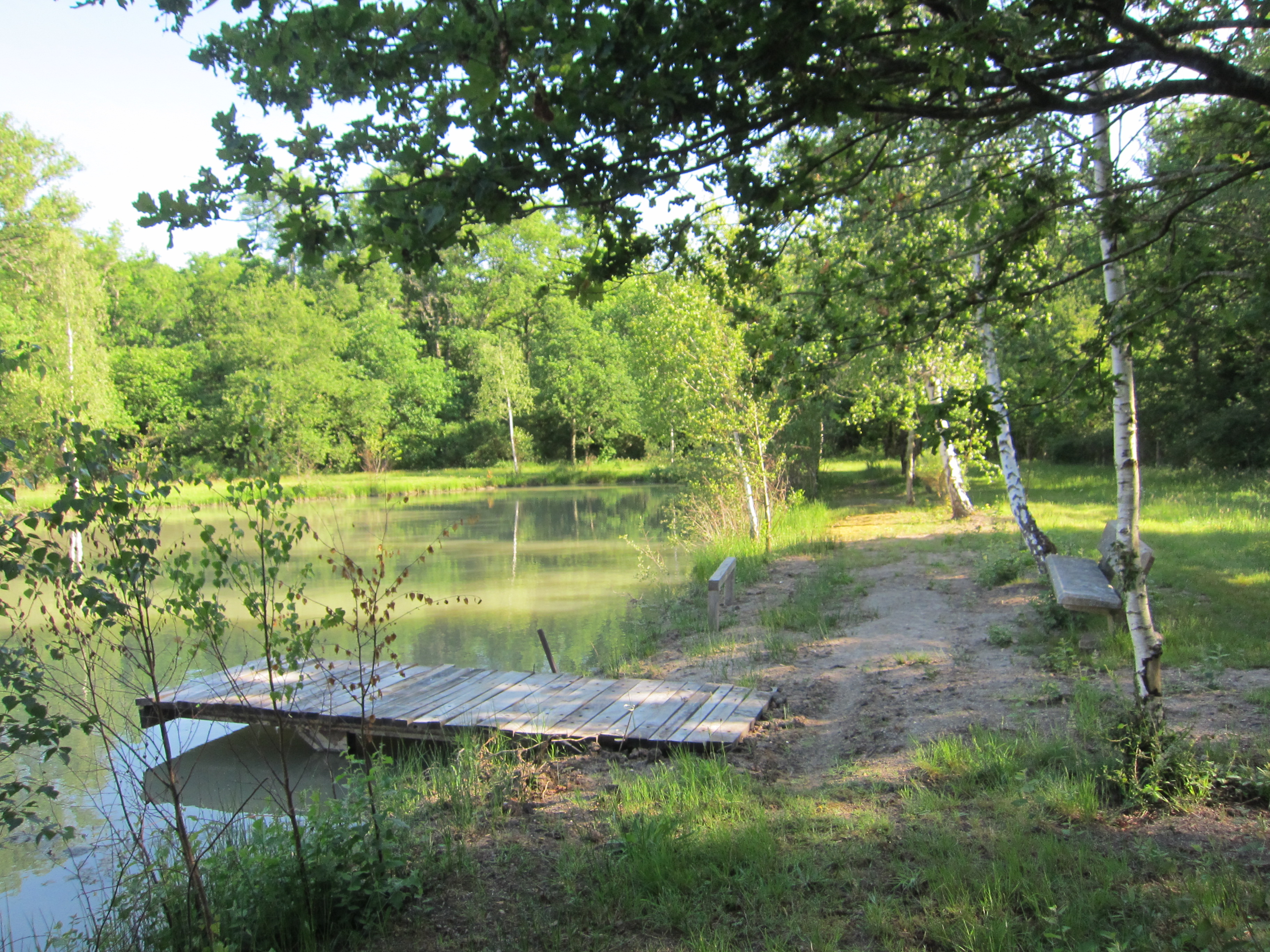Cabane perchée de Lousson, Ménestreau-en-Villette - photo 10