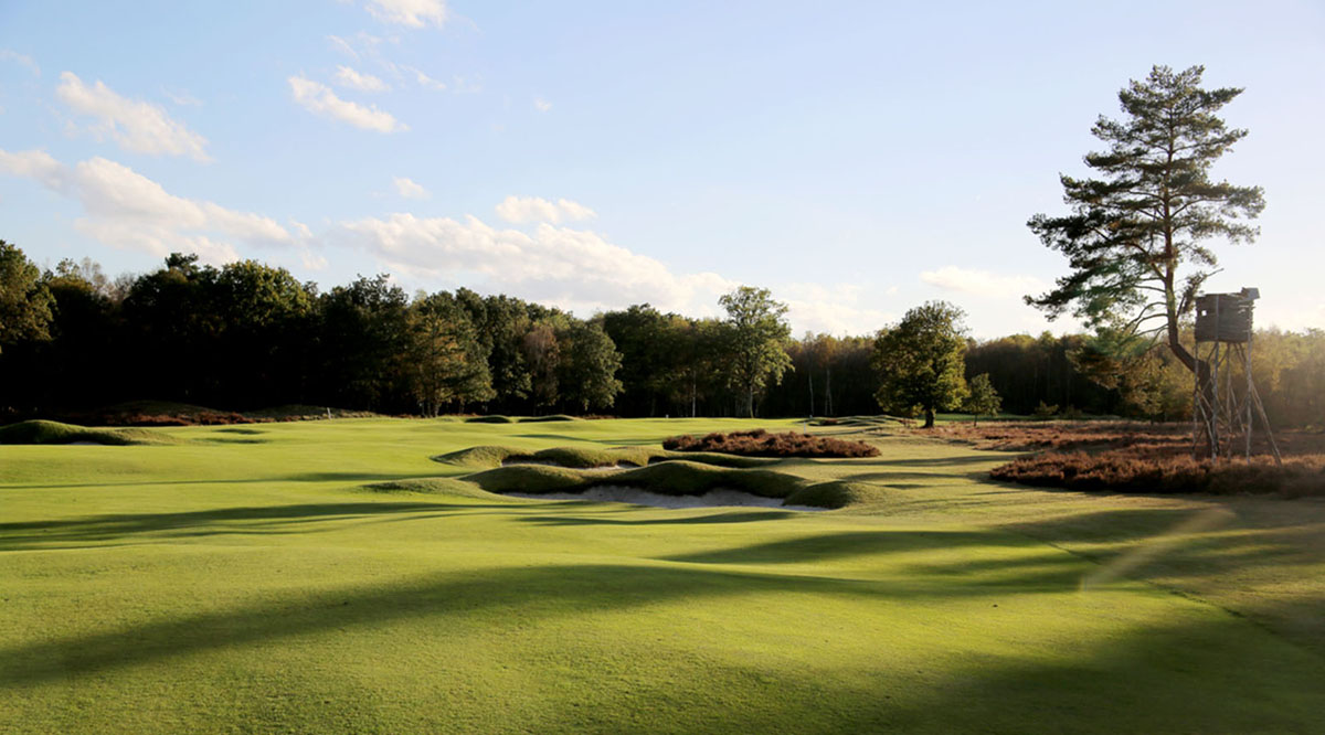 Golf des Aisses, La Ferté-Saint-Aubin - photo 3