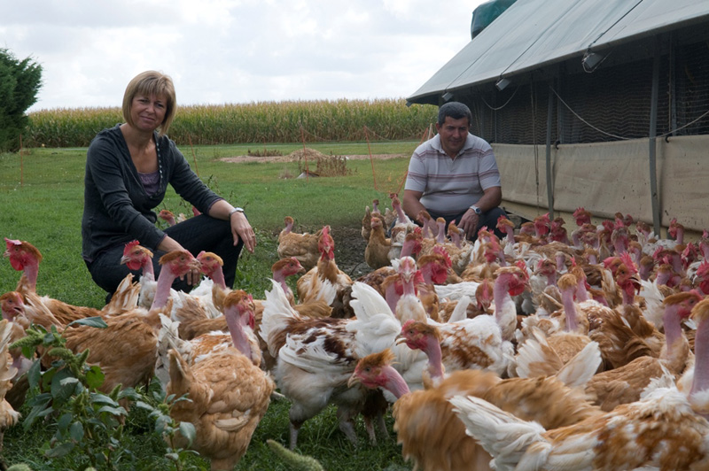 La ferme Grandvillain