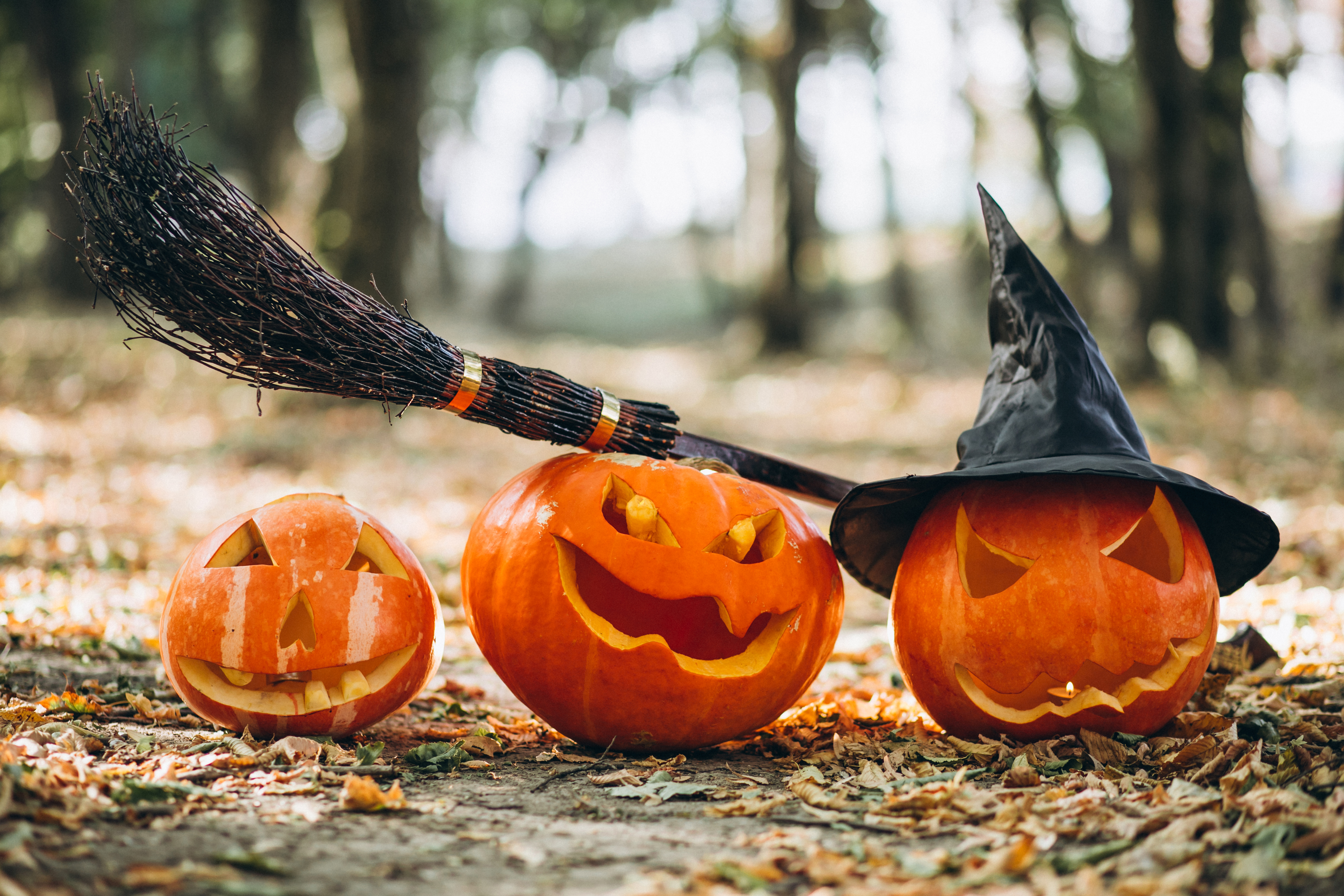 Soirée Féria d'Halloween
