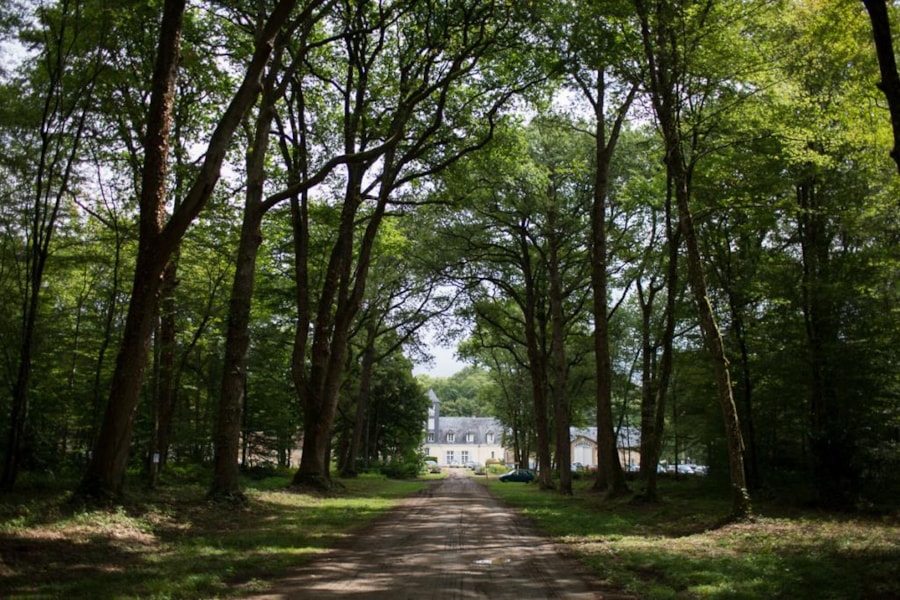 Orangerie de Beauregard - Gite Vouvray, Villedômer