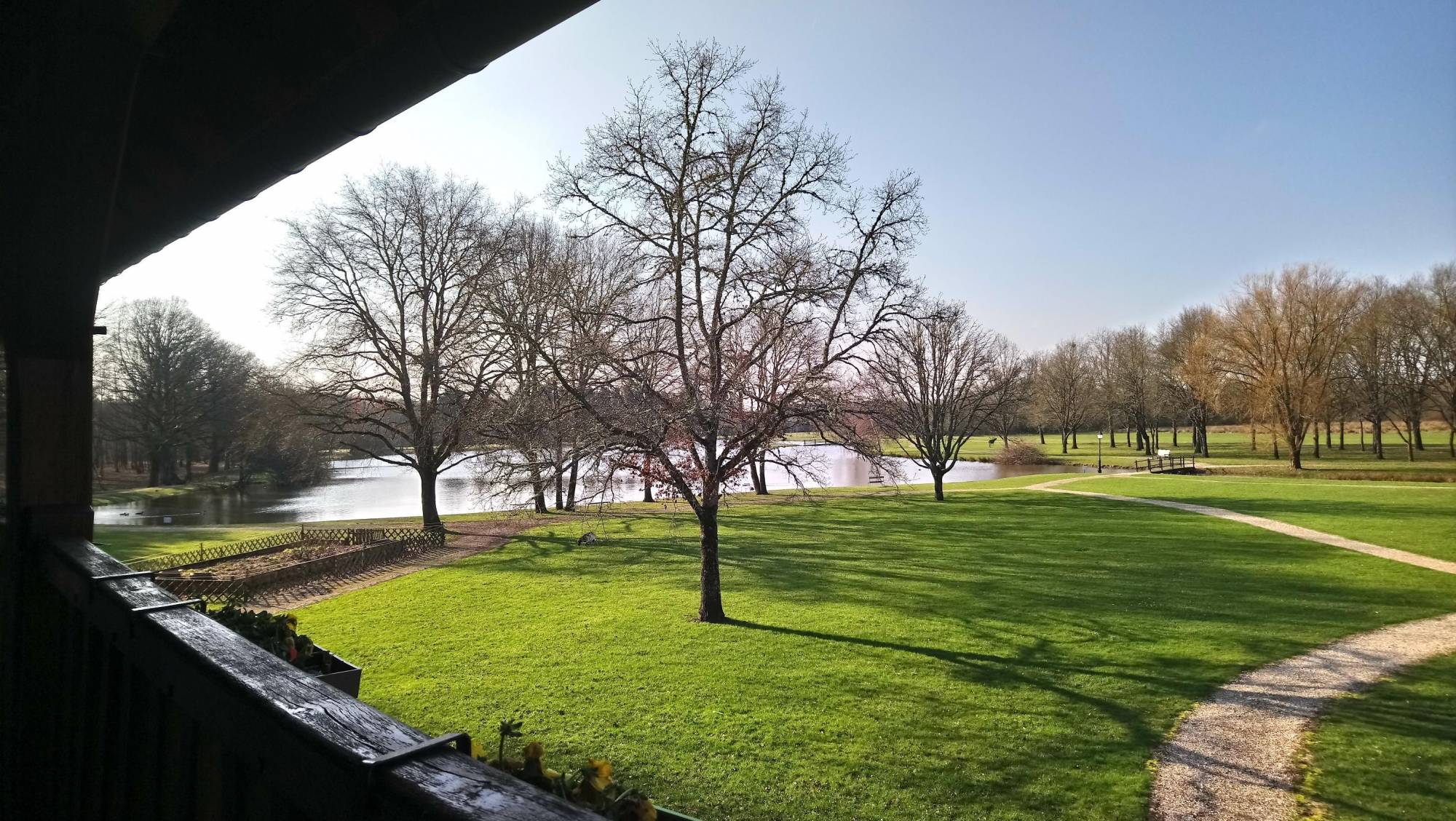 The Originals L'Orée des Chênes, La Ferté-Saint-Aubin - photo 7