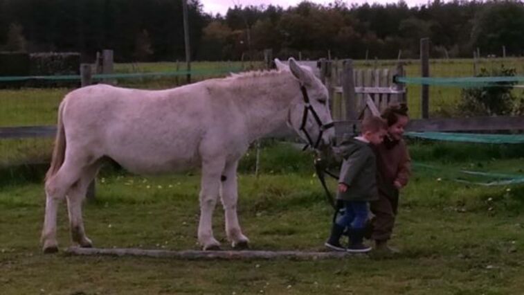 Atelier petit fermier (6 ans et +), Ingrannes - photo 2