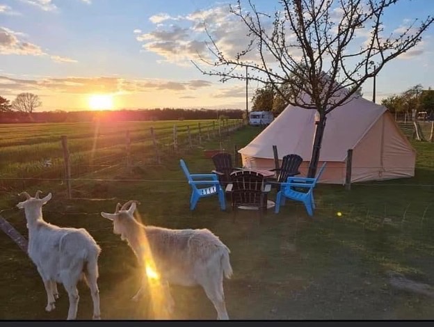 Caraferme et Compagnie, Les Châtelets - photo 5