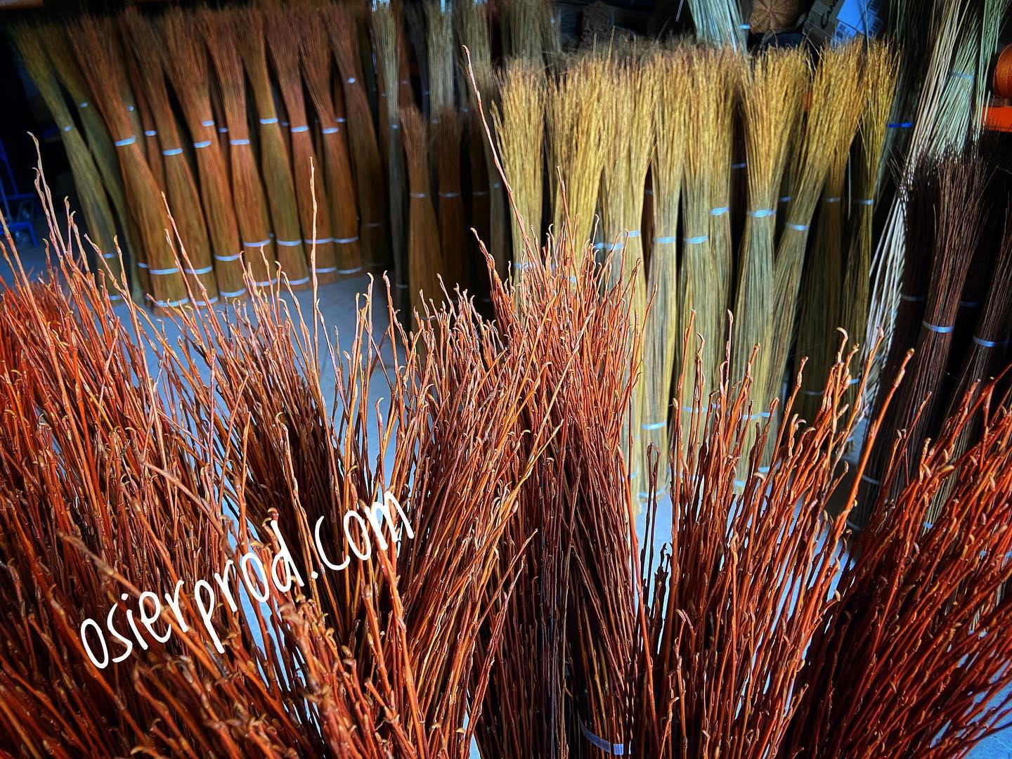 Visite d'une exploitation productrice d'osier "l'entretien"